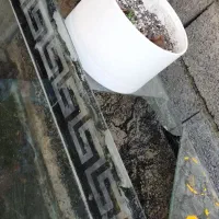 آکواریوم|ماهی|چالوس, |دیوار