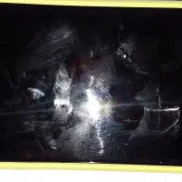 موبایل آیفون