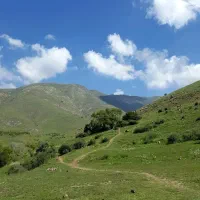 زمین-100هکتاری-بر-اتوبان-کرج-تهاتر