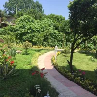 فرش زمین ۱۵۰۰ متری پلاک یک دریا سند تک برگ