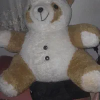 عروسک وجاسویچی