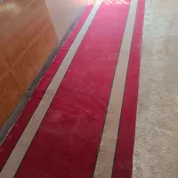 موکت|موکت|شیراز, شهرک مهرگان|دیوار