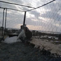 گرفتنی|پرنده|نیشابور, دربقاضی|دیوار