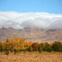 زمین-زندان
