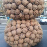 گردو ایرانی ۱۴۰۴ الموت بالای ۵۰۰گرم مغز|خوردنی و آشامیدنی|محمدیه-قزوین, |دیوار