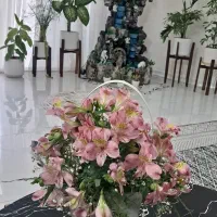 آبنما