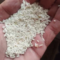 برنج هاشمی لاشه