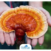 کمک ب بهبود سردی و زودانزالی آقایان