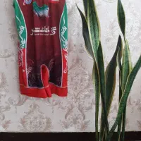 دوبند تیم ملی