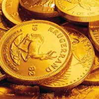 سرمایه گذاری