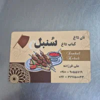 کباب پز حرفه ای