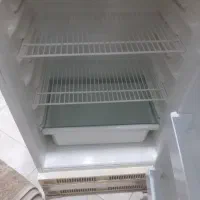 یخچال جا یخی دار ایران پویا