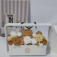 باکس‌های‌جاودان