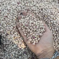 لوبیا چیتی درجه یک مناسب