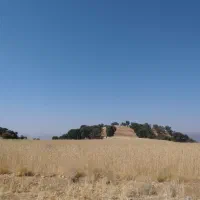 جومحلی