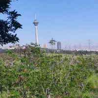 همراه برای ورزش کوهنوردی و پیاده روی