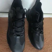 کفش کاملا نو|کیف، کفش، کمربند|مراغه, |دیوار