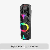 اسپیکر مدل ZQS-8309