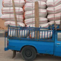 کاه