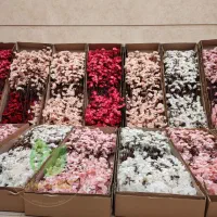 شاخه شکوفه|گل مصنوعی|قم, نیروگاه|دیوار