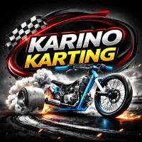 تولید موتوروماشین کارتینگ گوکارت دریفت ترایک باگی