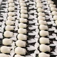 گیفت عروس|صنایع دستی و سایر لوازم تزئینی|جم, |دیوار