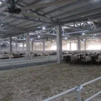 فروش دامداری