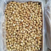 انجیر استهبان