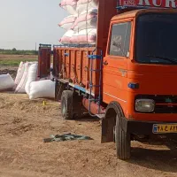 کاه گندم