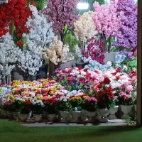 استخدام نیروی خانم