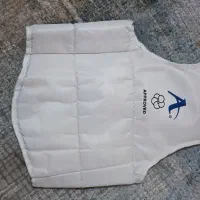 هوگو (محافظ بدن)