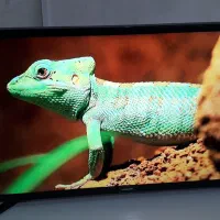 ال ای دی تلویزیون  SAMSUNG 32 بسیار تمیز|تلویزیون و پروژکتور|تبریز, |دیوار