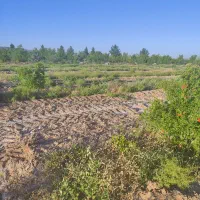 فروش باغ تقاب