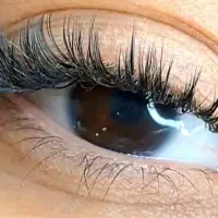 اکستنشن مژه|خدمات آرایشگری و زیبایی|شیراز, معالی‌آباد|دیوار