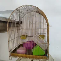 قفس پرنده|لوازم جانبی حیوانات|اندیشه, اندیشه فاز ۱|دیوار