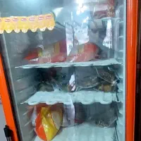 فریزر۶۰ سانتی ایستاده