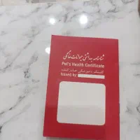 توله سگ پامر اشپیتز نر|سگ|اسدآباد, |دیوار