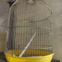 قفس گرد رنگ طلایی