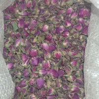 گل محمدی امسال