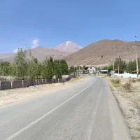 پیدا شدن سگ