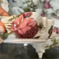 ظروف لمونژ نونو با کارتن