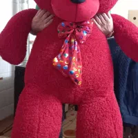 خرس بزرگ ولنتاین