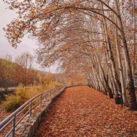 زمین مسکونی خوانسار