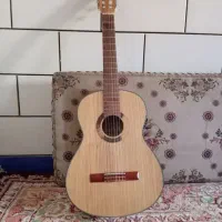 گیتار حرفه ای