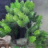 اکواریوم شیشه خم ارتفاع 40 طول 50