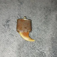 انگشتر ناخون پلنگ