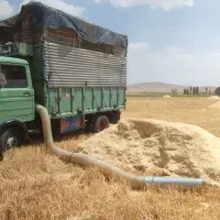 کاه گندم نرم بدون اشغال