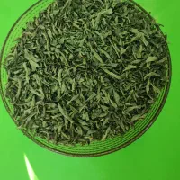 نعنا خشک شده باغی