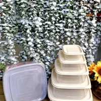 نگهدارنده|ظروف نگهدارنده، پلاستیکی، یک‌بارمصرف|همدان, |دیوار