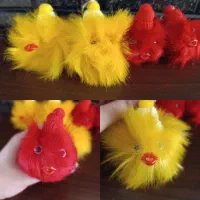 جاکلیدی پوم